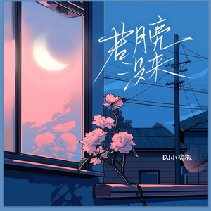 午夜福利100集无码
